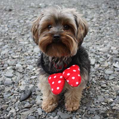 Lock Box Storage – Self Storage Rangiora, Christchurch, North Canterbury