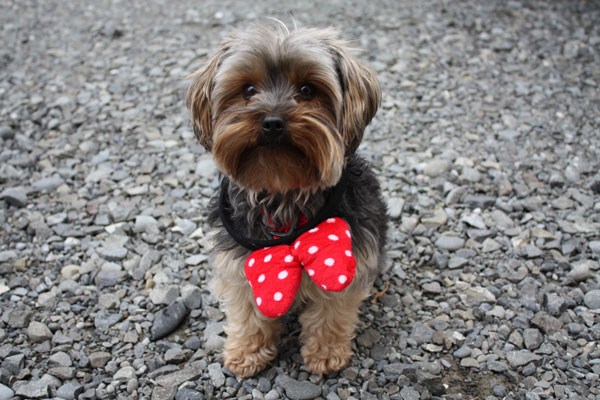 Lock Box Storage – Self Storage Rangiora, Christchurch, North Canterbury